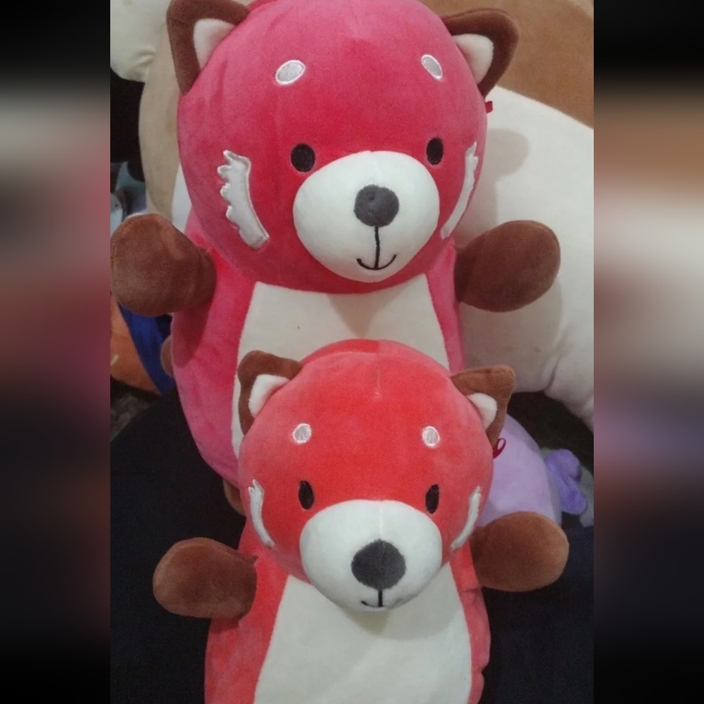 Rodrigo the red panda Hugmee squishmallows